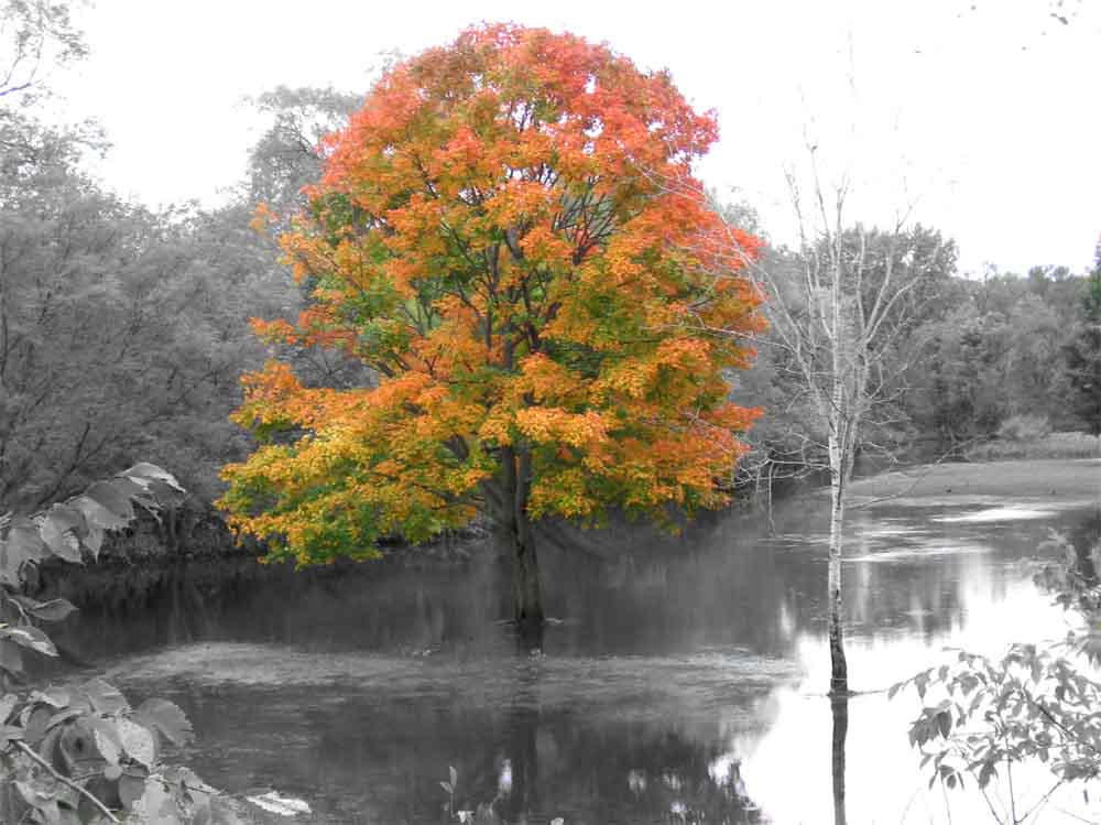 aftermath of a week long rainstorm