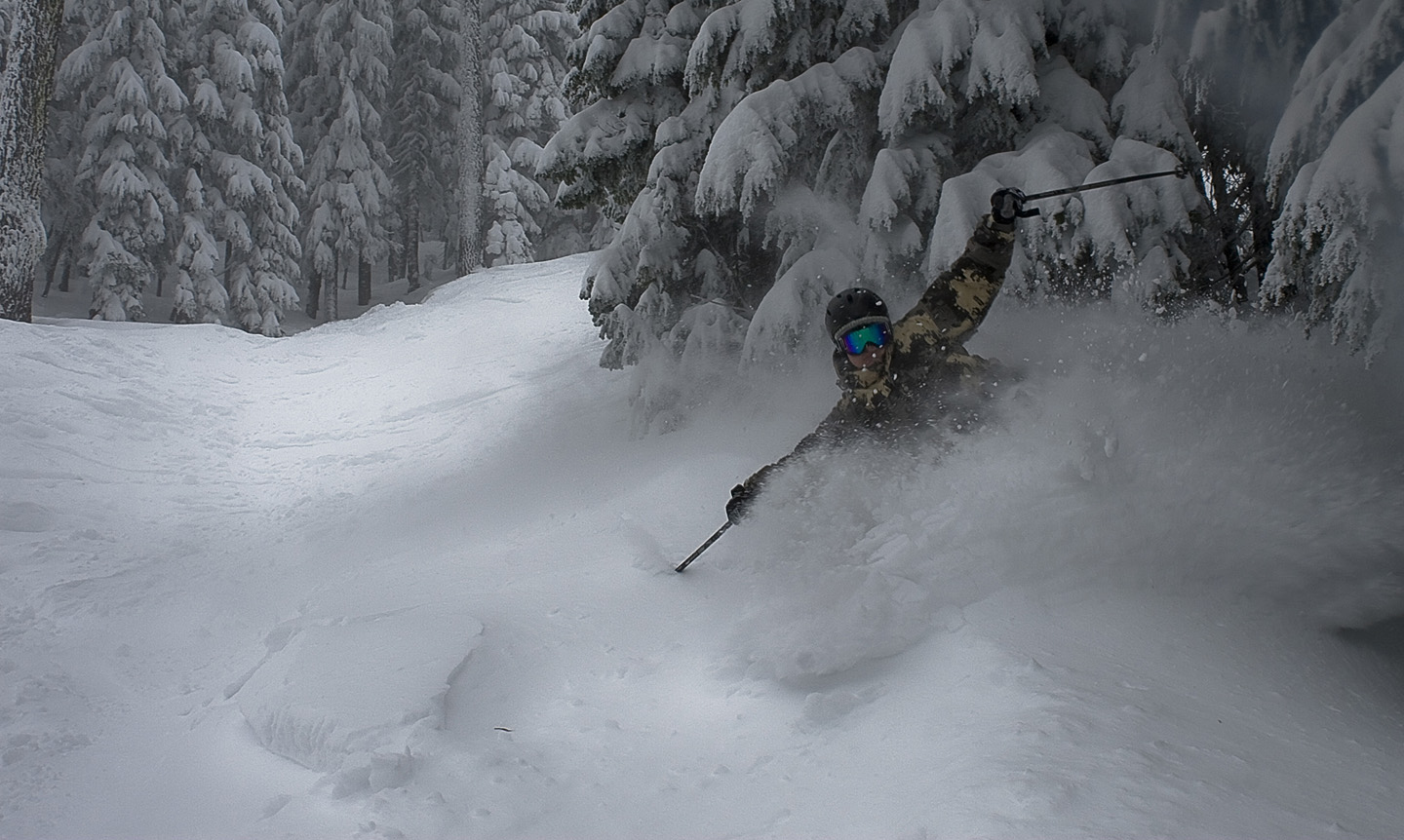 Afternoon Scavenging