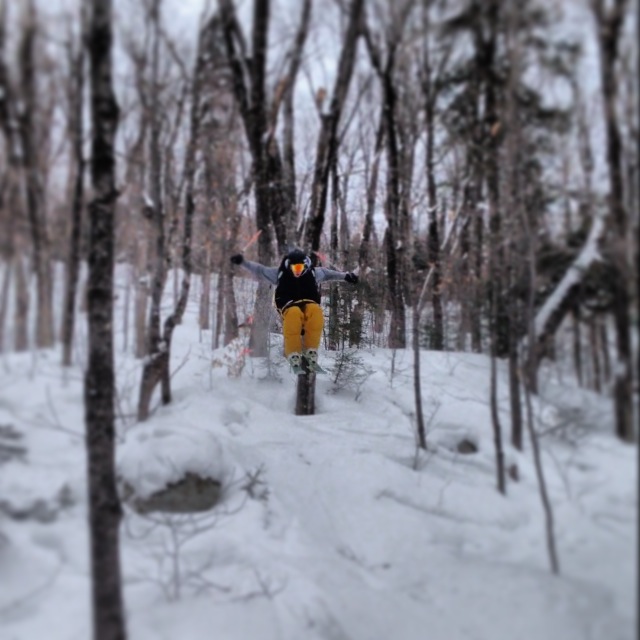 Air time in the woods