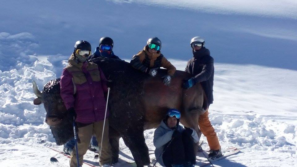 Airborne Freeski Team @ Vars 2015