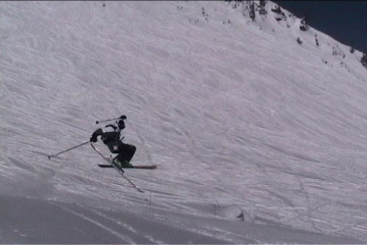 Airing out at the bird