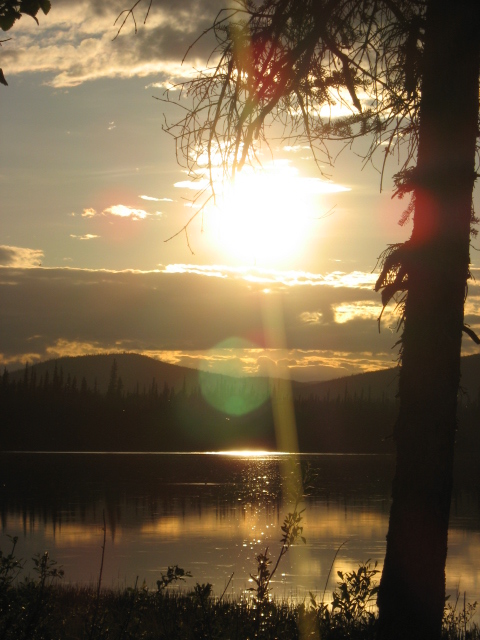 Alaska in the Summer