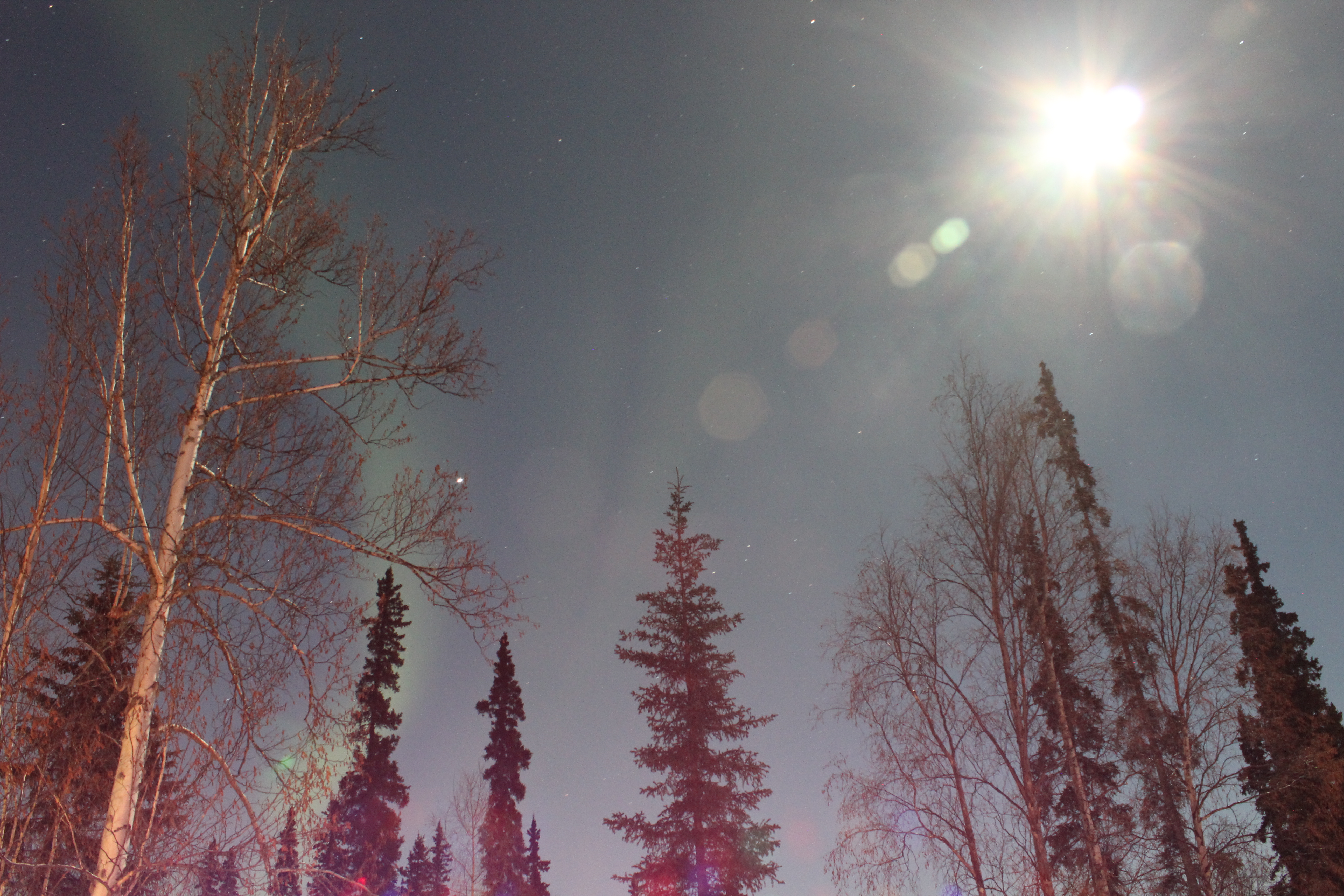 Alaskan Night Sesh With Natural Lighting 