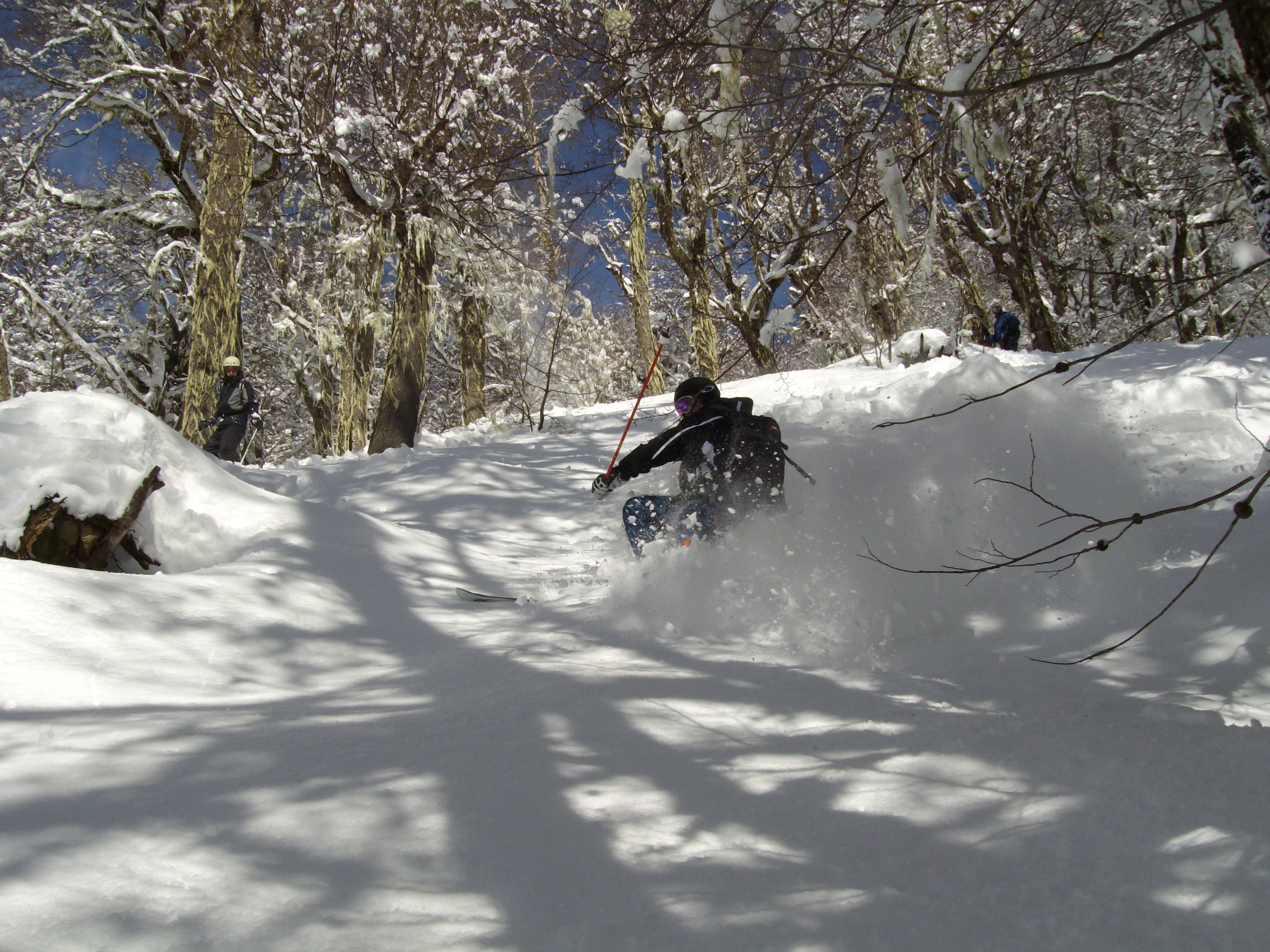 Ali Forest skiing Cerro Catedral