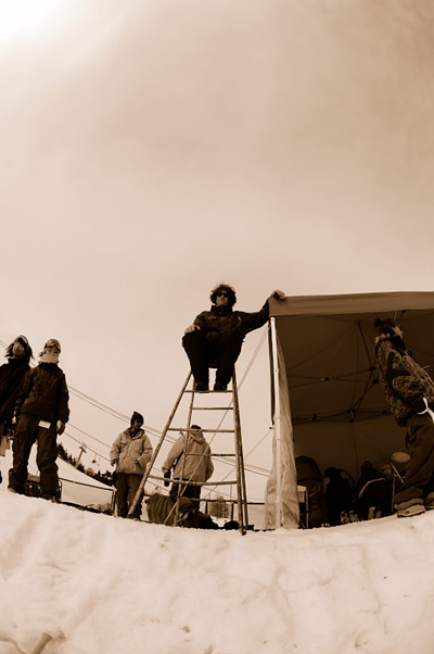 all hail judge Shane