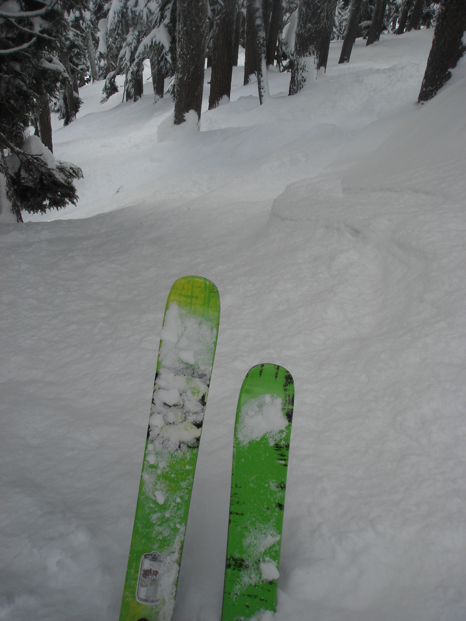 Alpental Tree Line