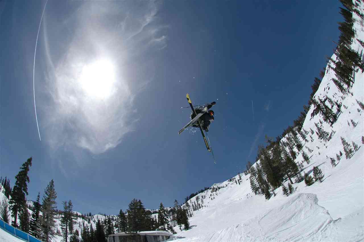 Alpine meadows....bio or flatspin 7