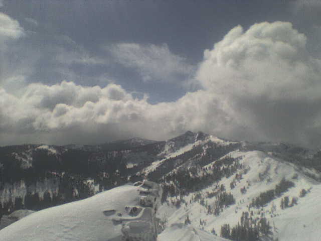 Alpine Meadows Powder Day
