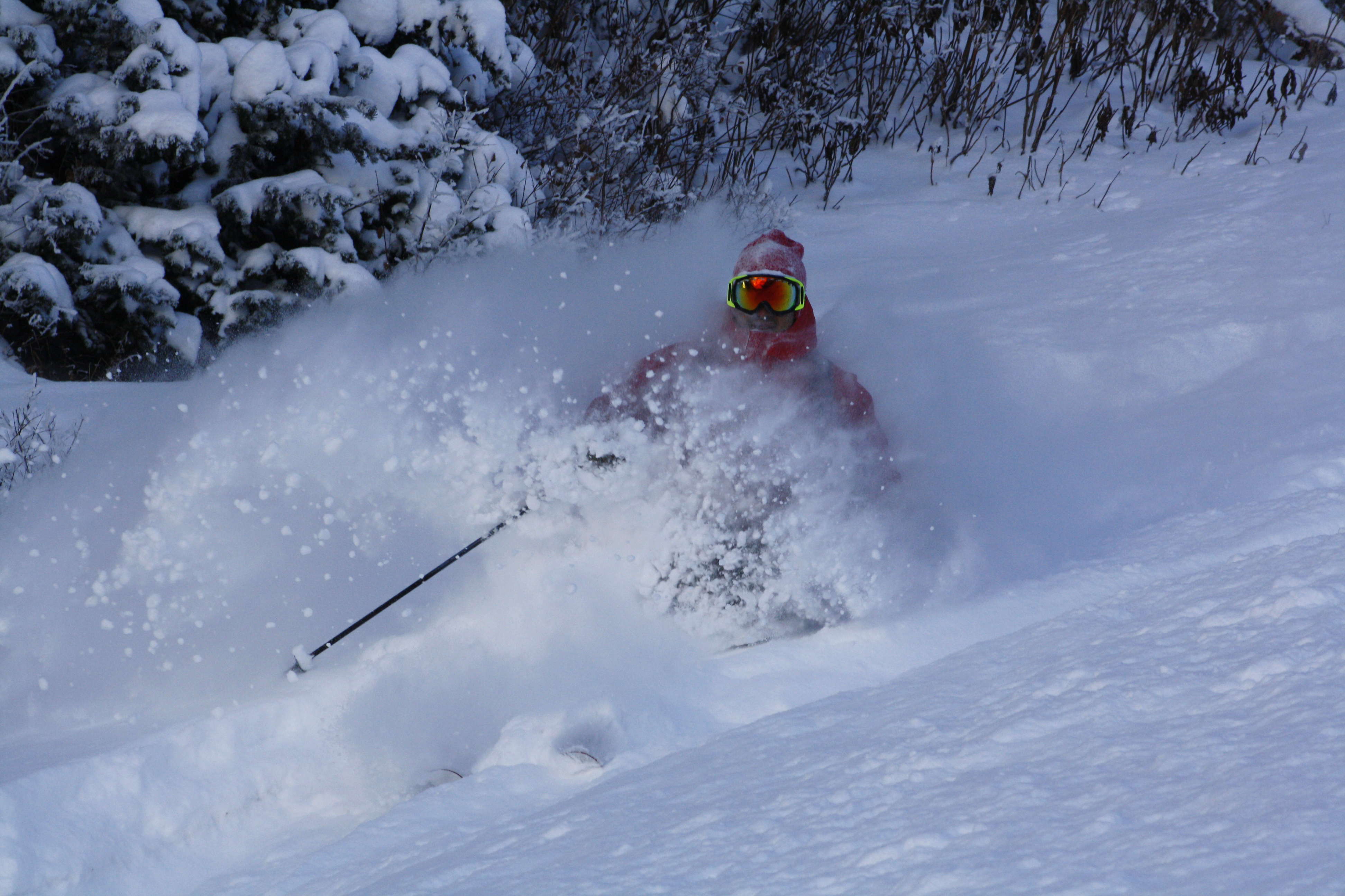 Alta first run preseaon