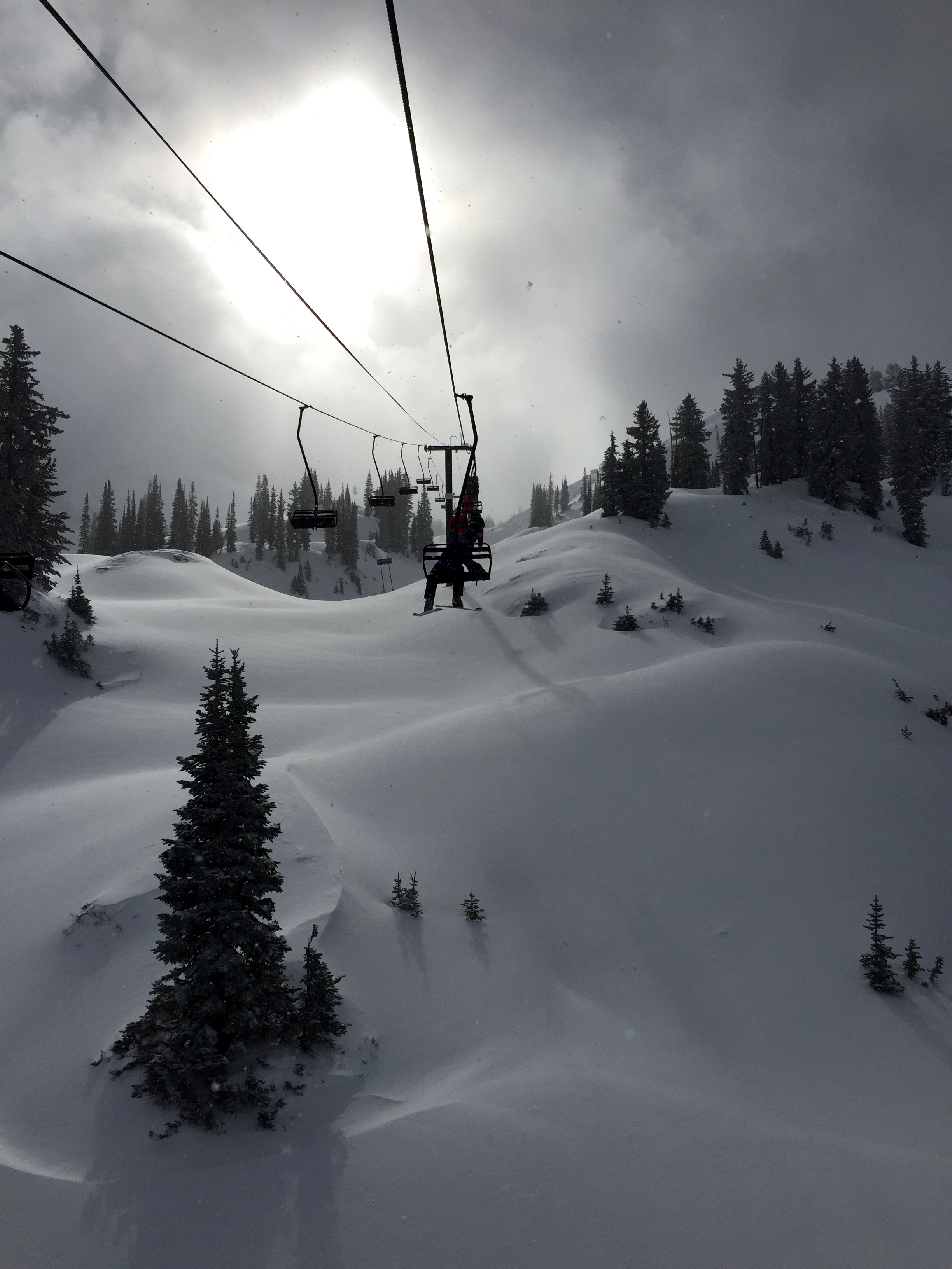 Alta was unreal yesterday