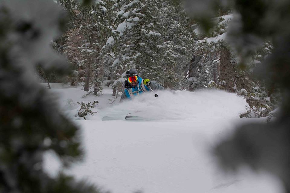 Alta Window Shopping