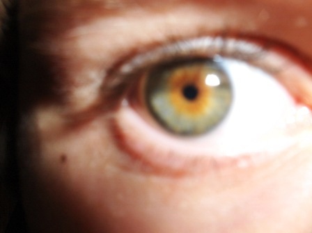 An Eye ball