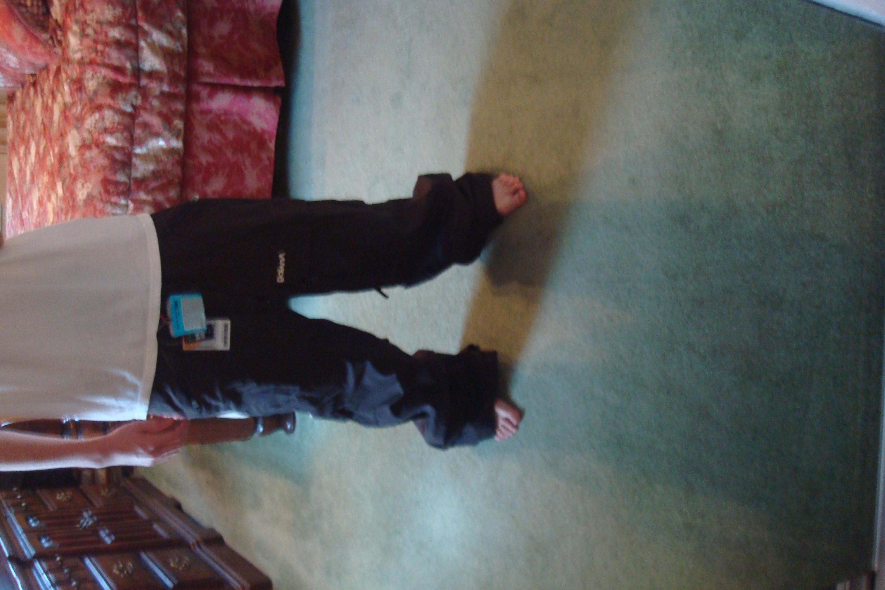 analog pants
