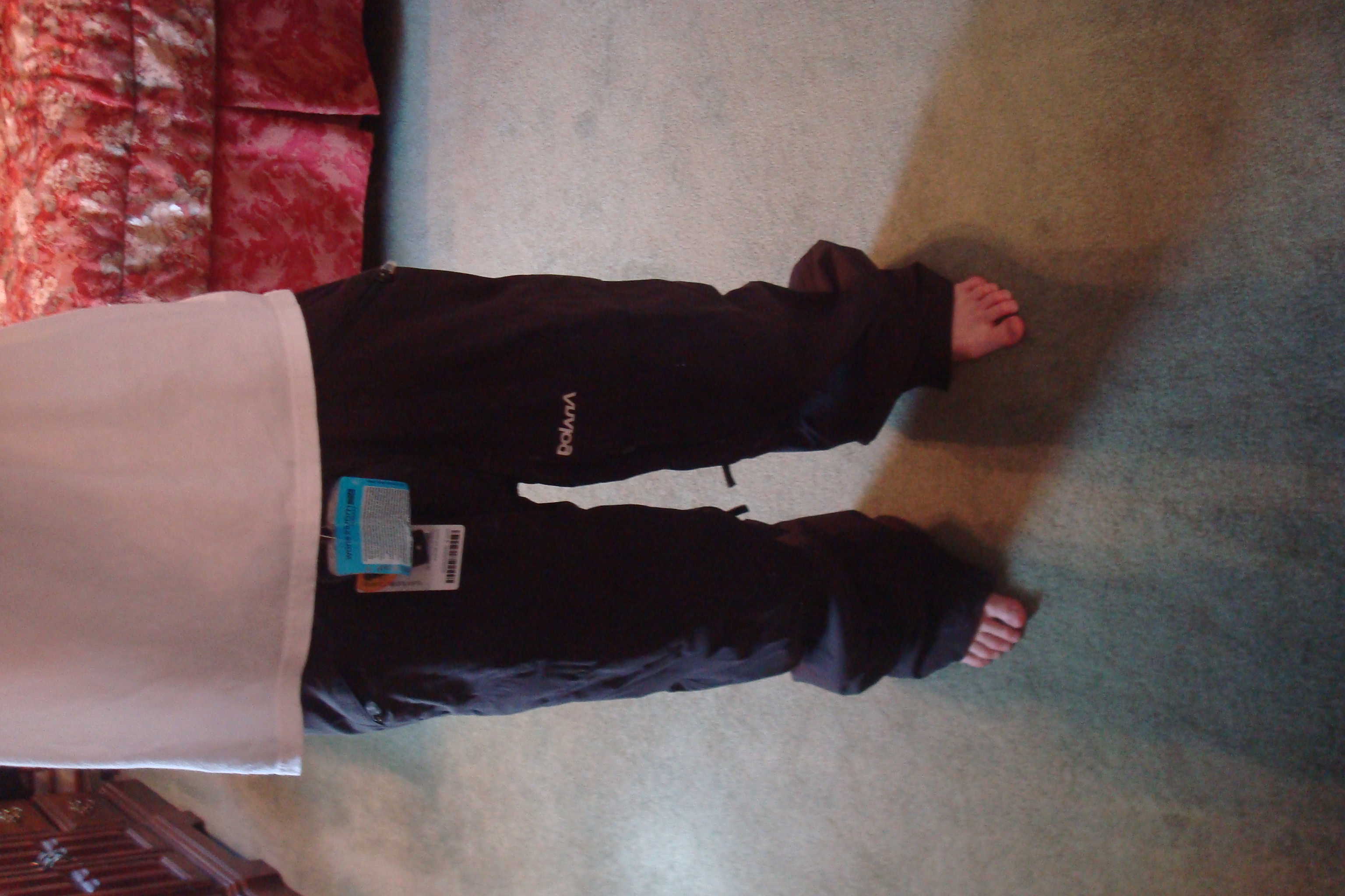 analog pants