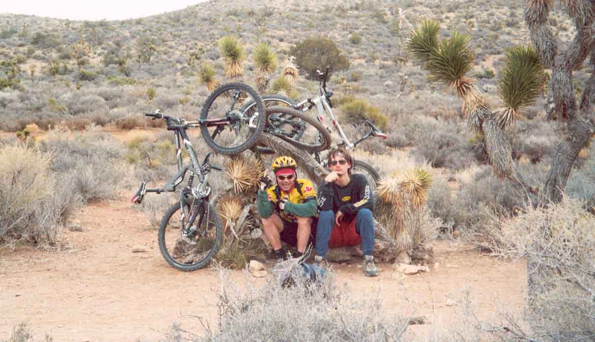 And then we all crashed