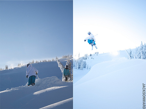 Andrew orlich splice