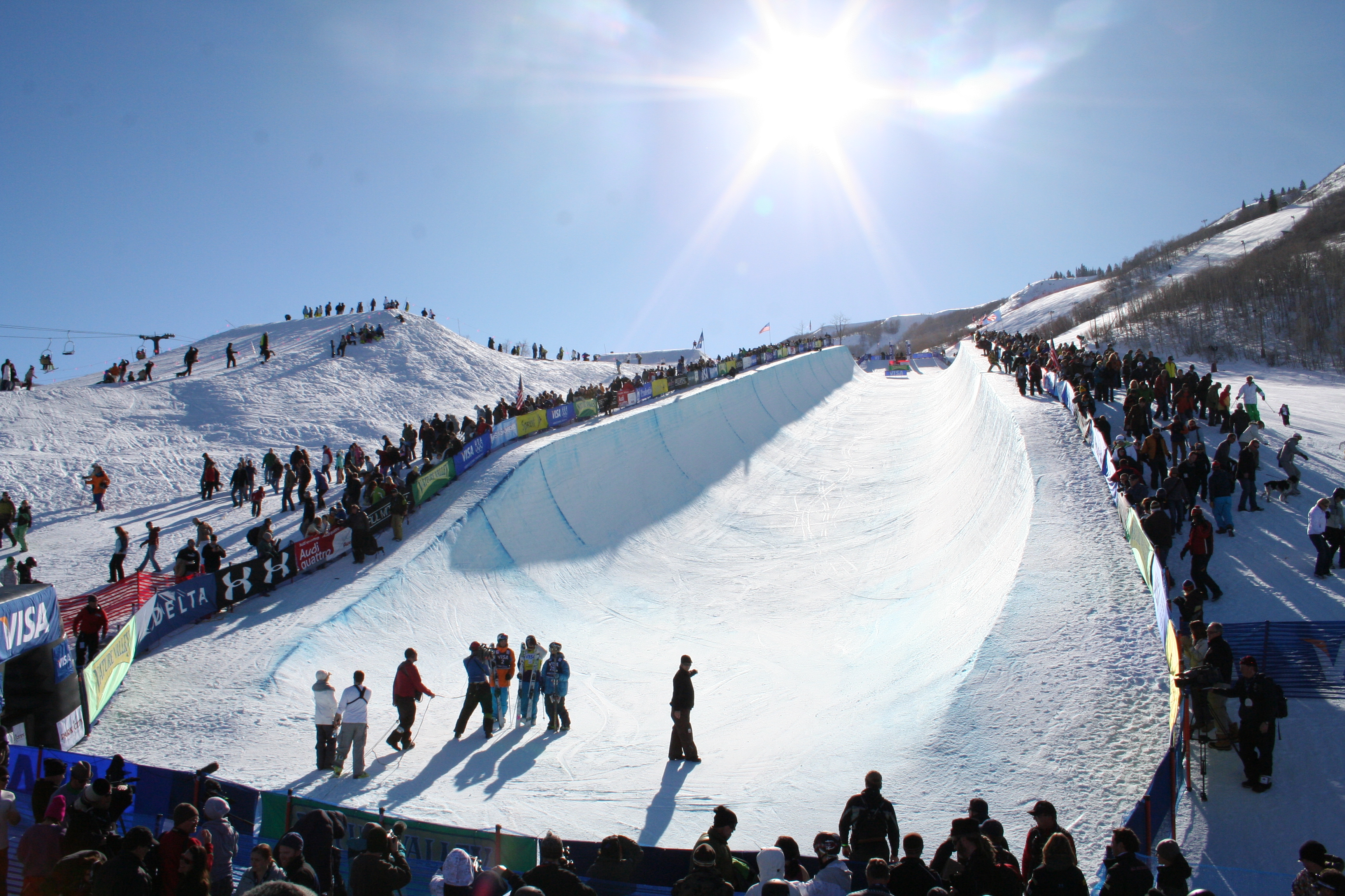 Another blue bird day