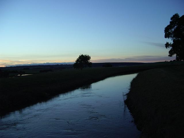 another cool mote pic