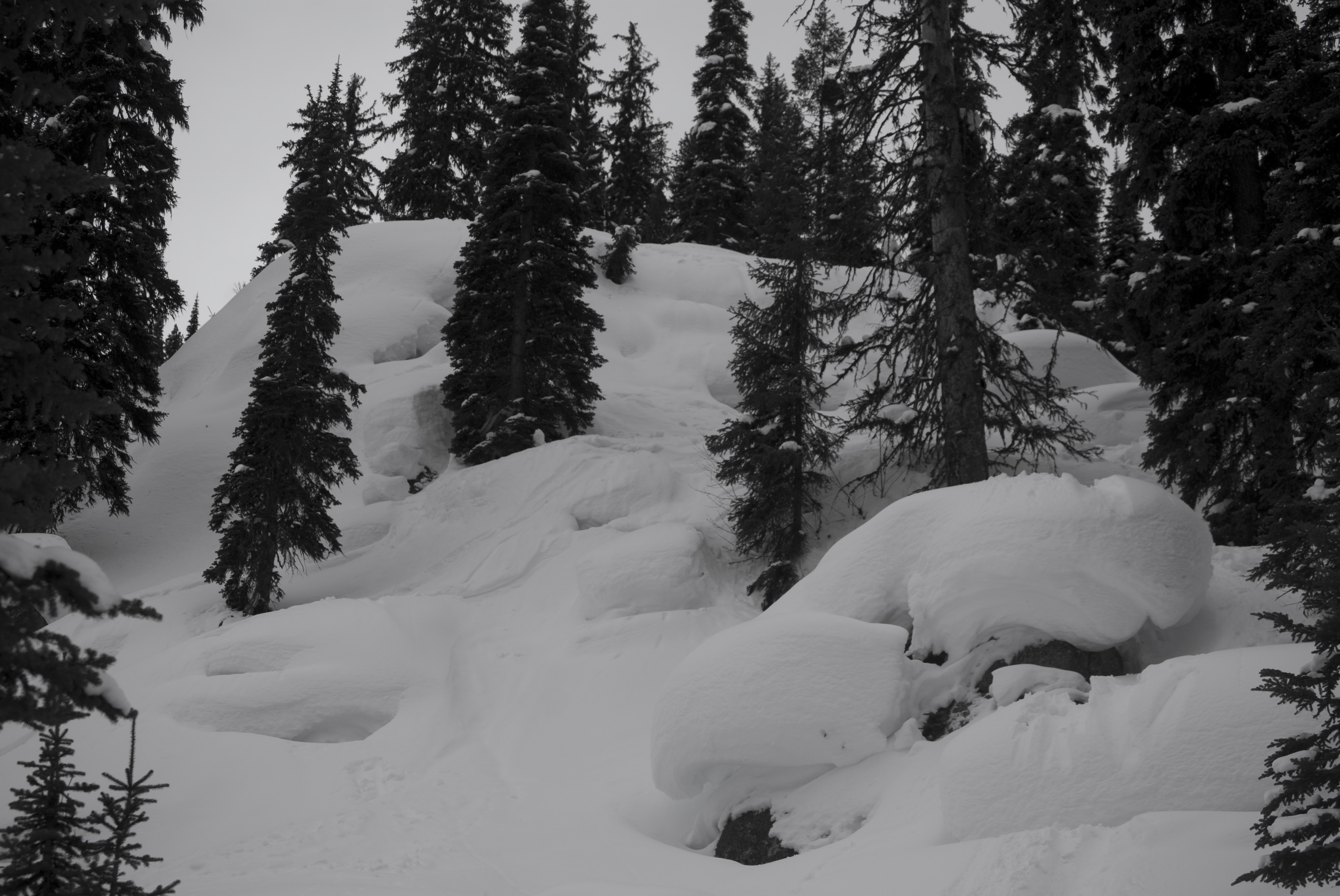 Another day at the goods