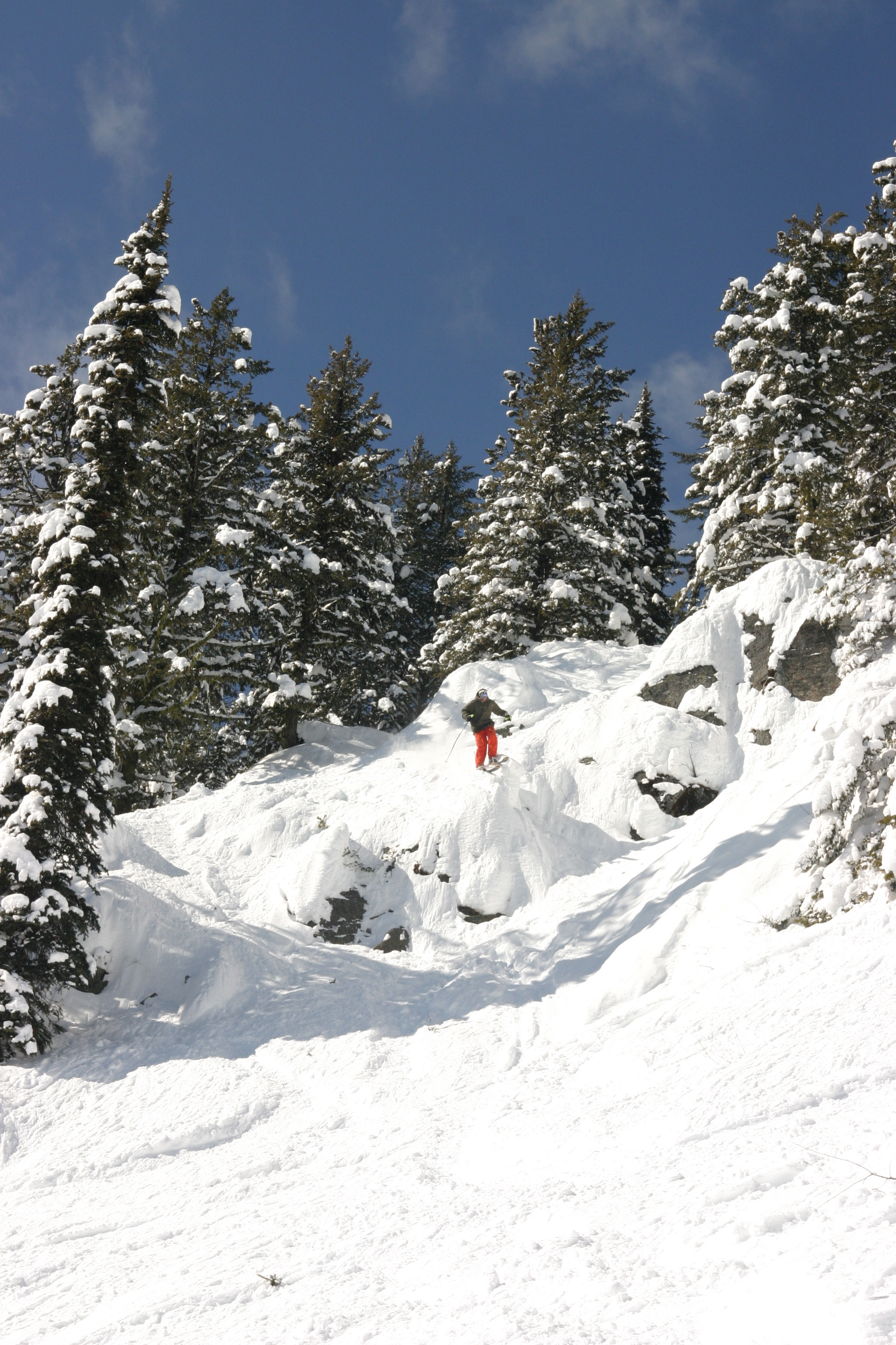 Another orchards sequence