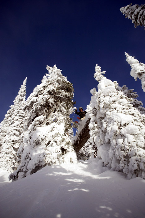another shot of the downed log jib