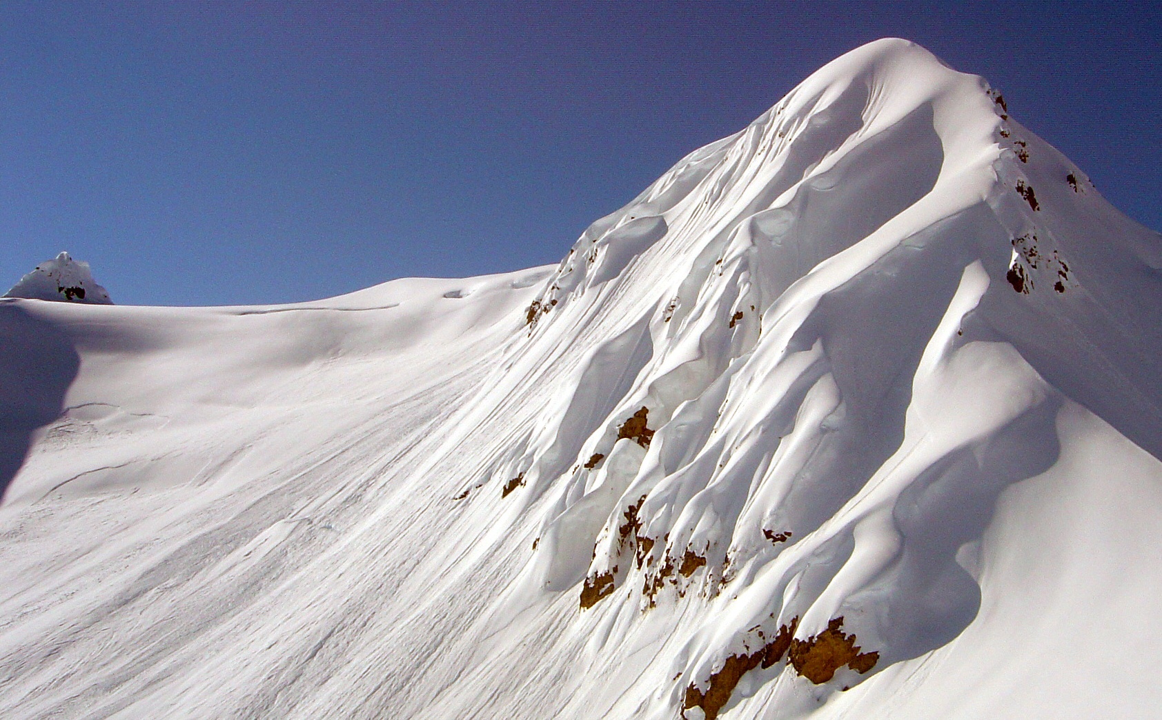 Another shrimp on the barby