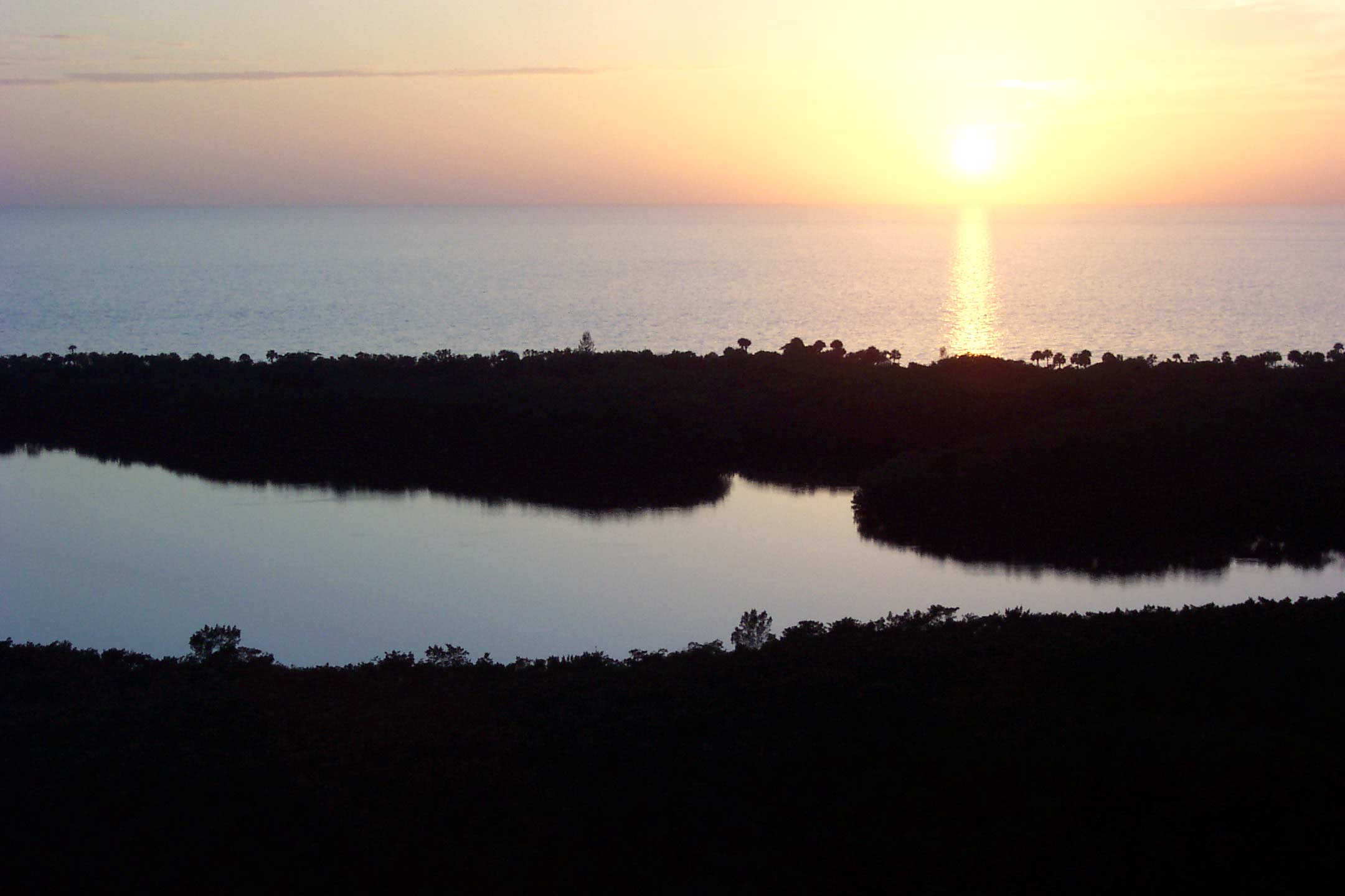 another spring break florida pic