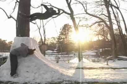 another tree jib view