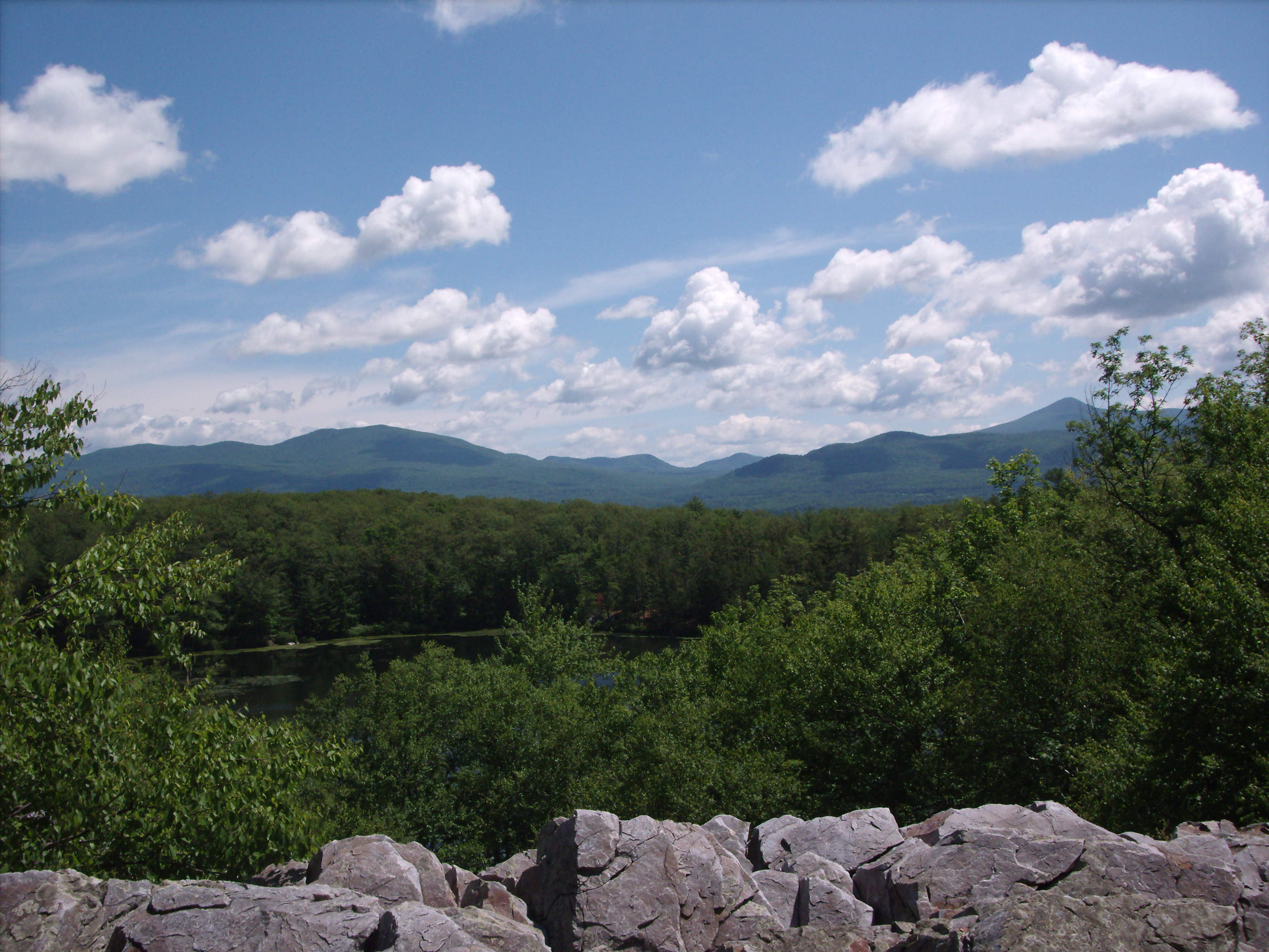 Another view