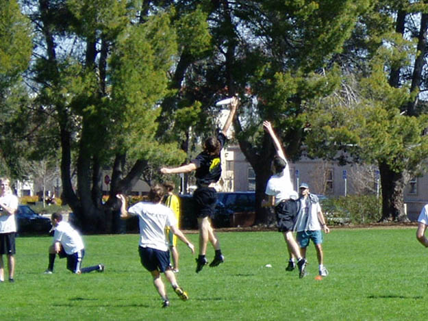 Anyone up for Ultimate Frisbee