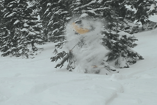 ape goes kaboom bitches