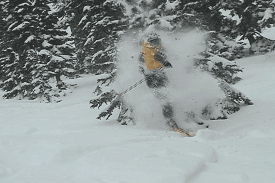 apestead blowin trees