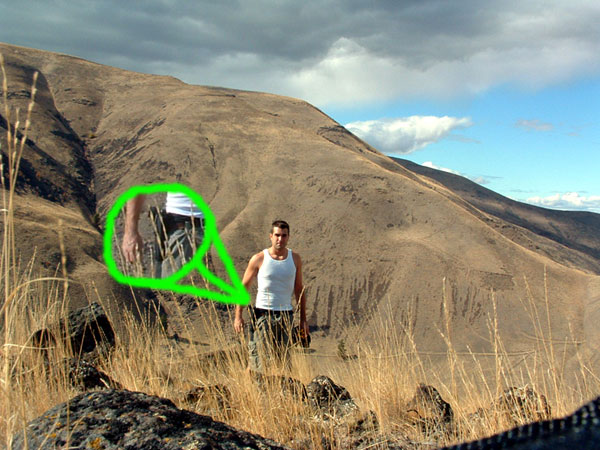 apestead in the ghetto wilderness