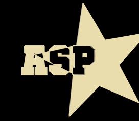 asp logo, one of many