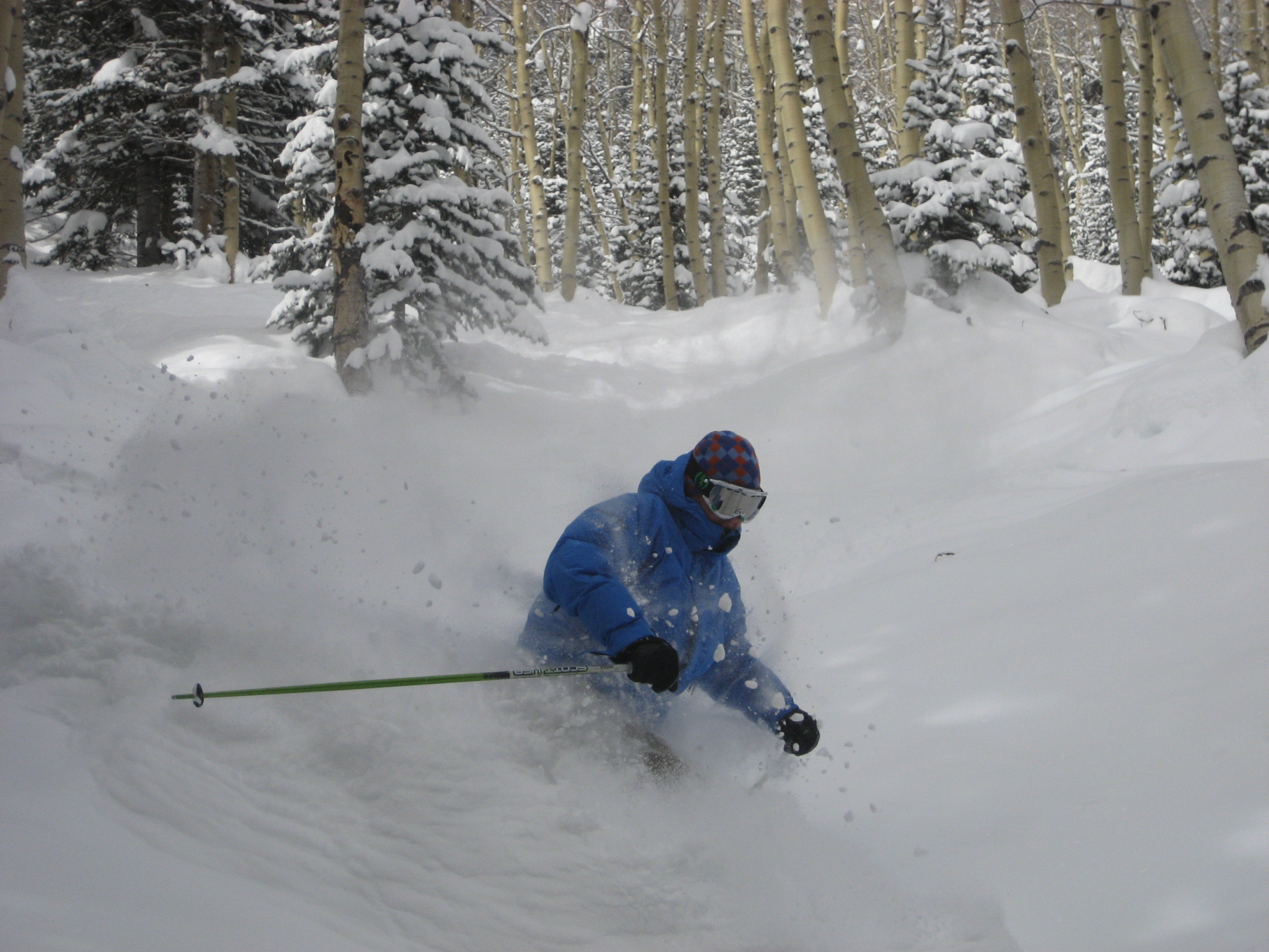Aspen Highland Freshies