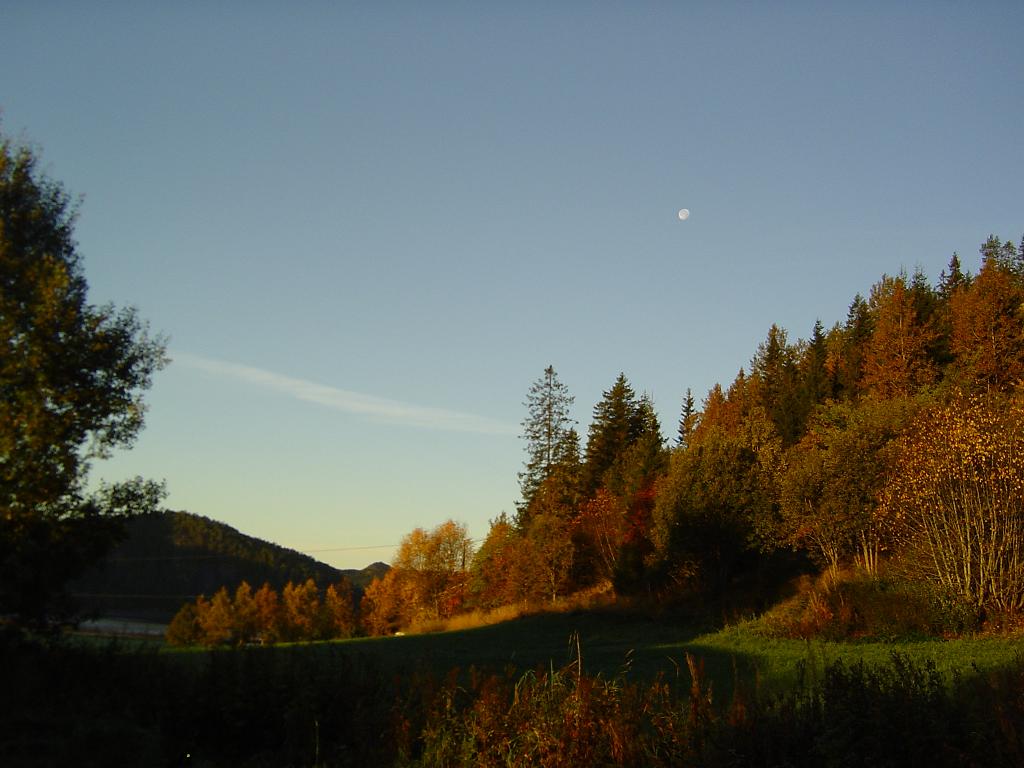 Autumn........allmost winter, I hope