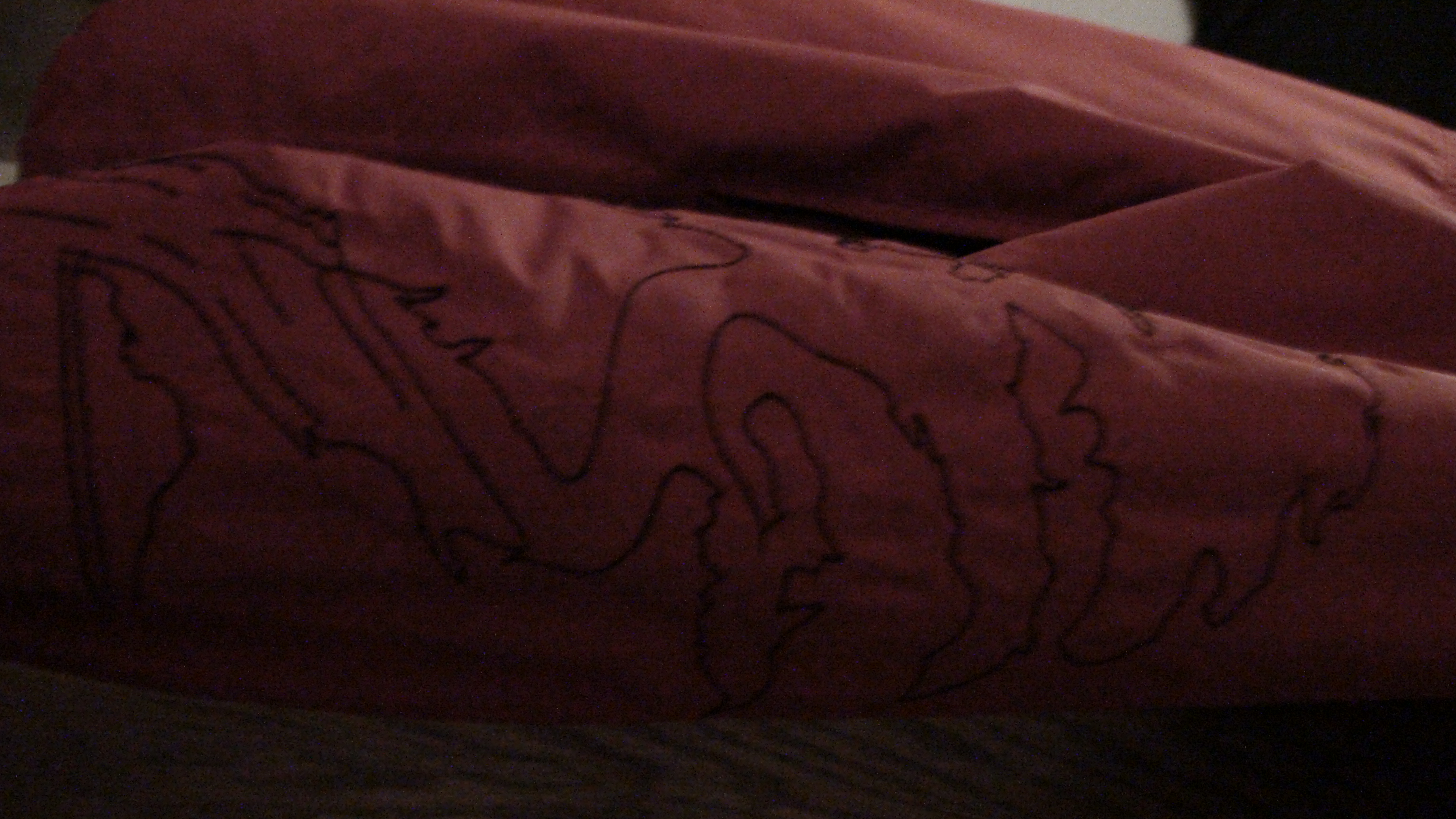 Avalaan ninja sleeve