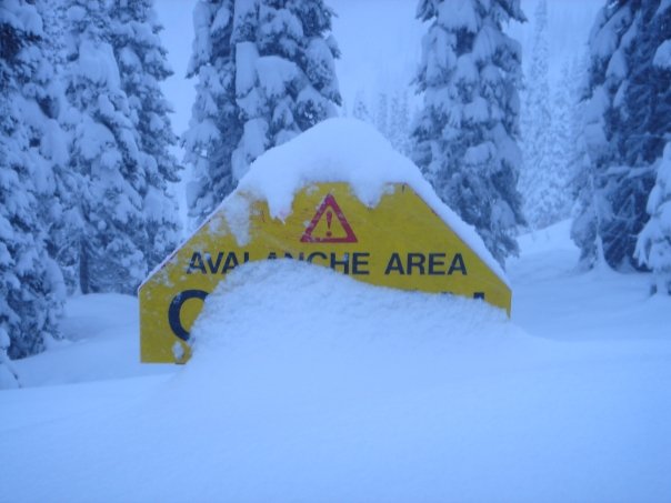 Average Nightly Snow Fall