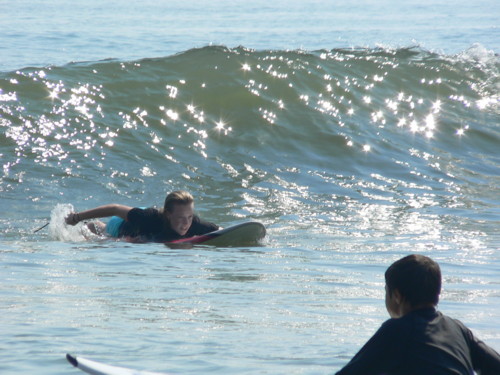 average-sized Jersey wave