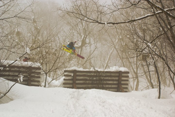 Avie barrier corked 3