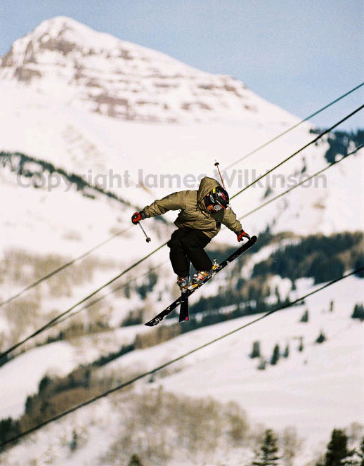 Awesome Picture of a Near True Tail 3