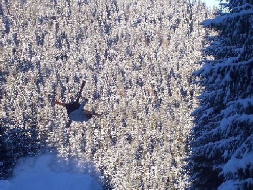 Axis Huge Tail (Sick!)