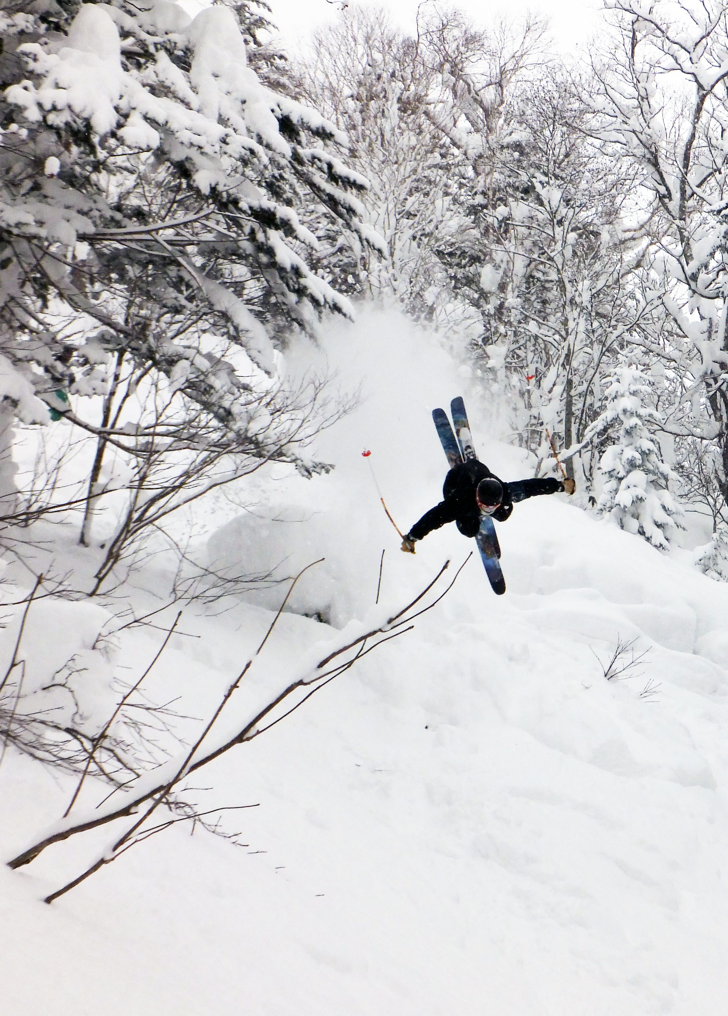 Back country backflip
