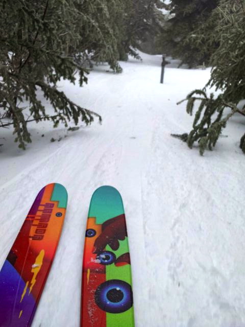 Back Country Shreddin