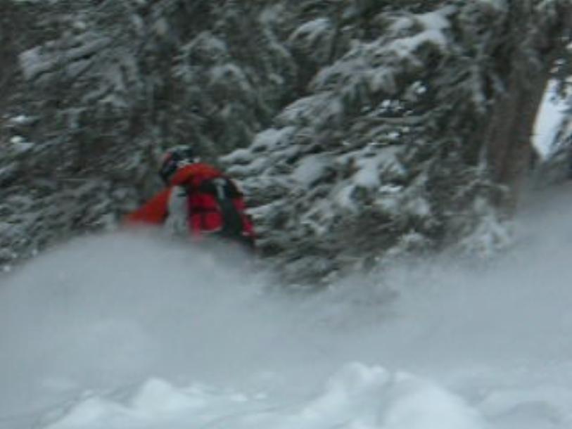 Back to hiding in the woods