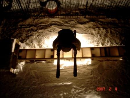 Back yard box - which one do u like better?