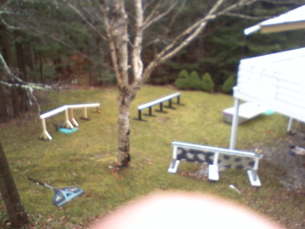 Back yard rails for the winter