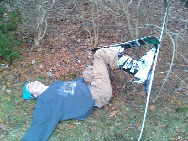 back yard tree crash