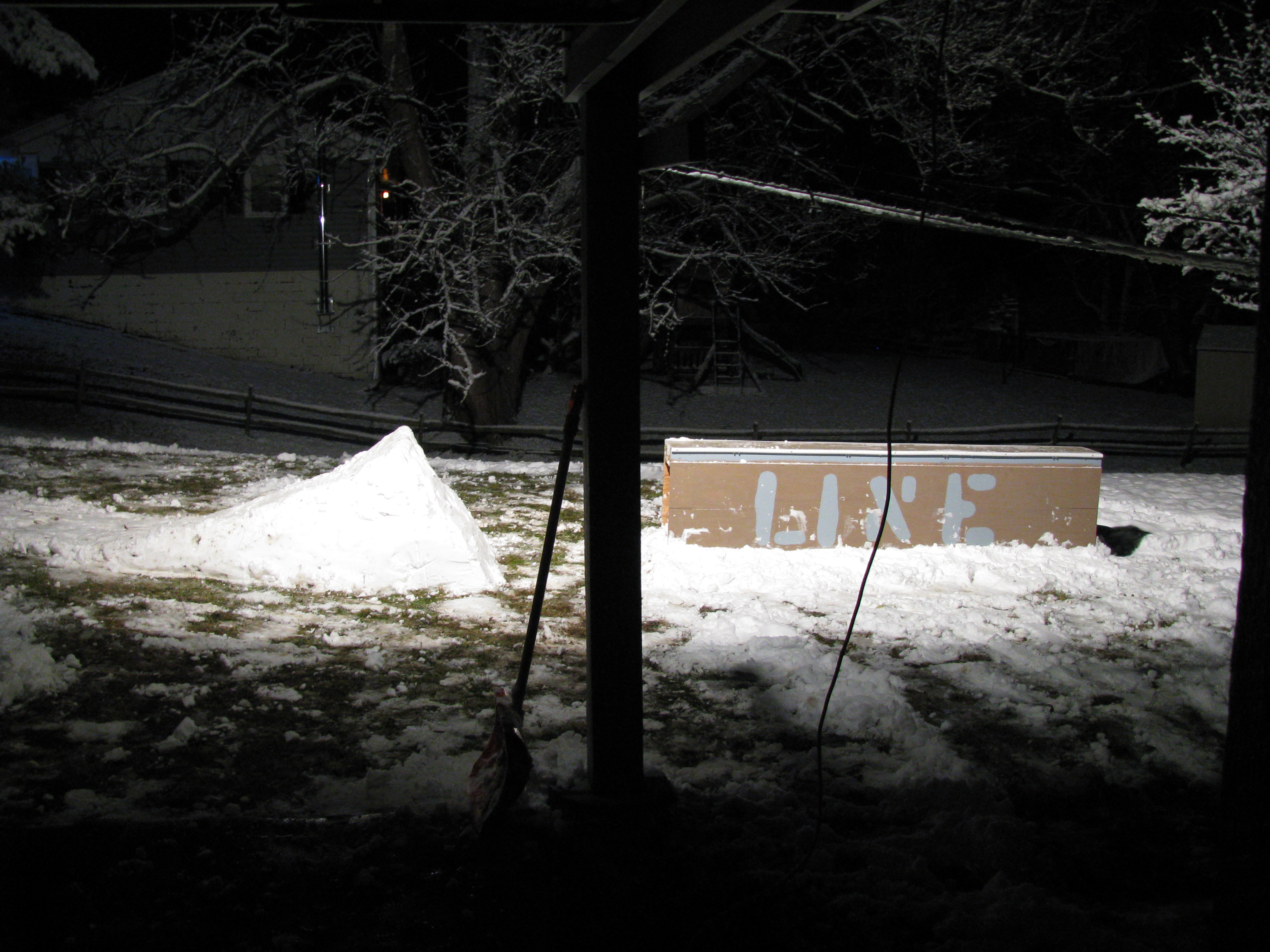 Back yard