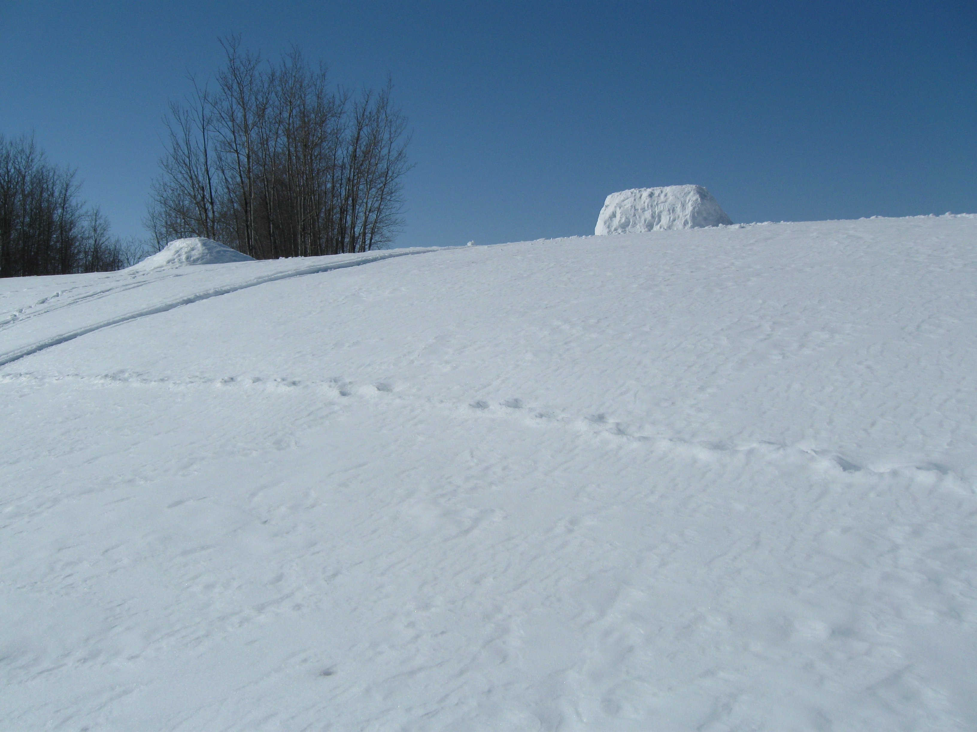 Backcountry Booter 2: Landing